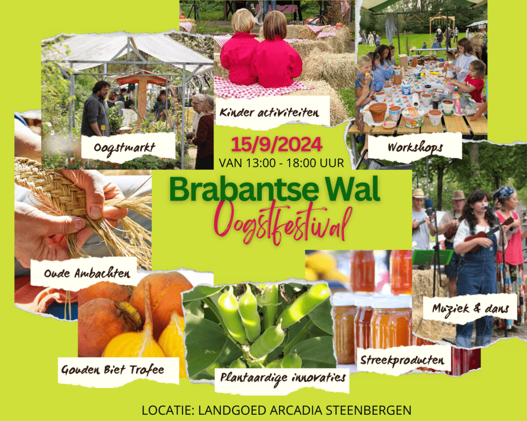 brabantse wal oogstfestival